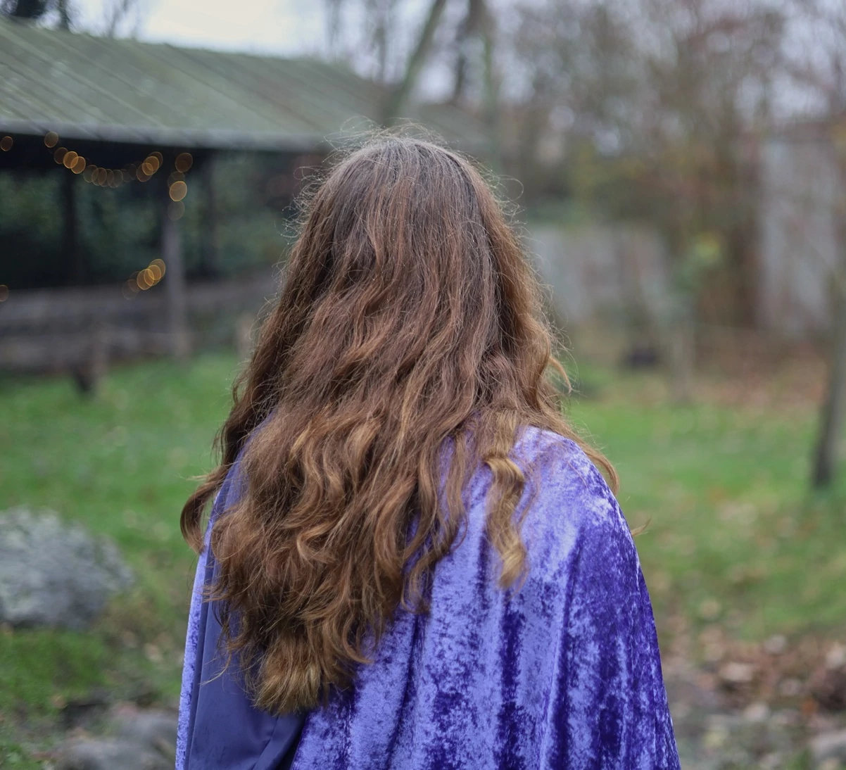 Veter's profile picture